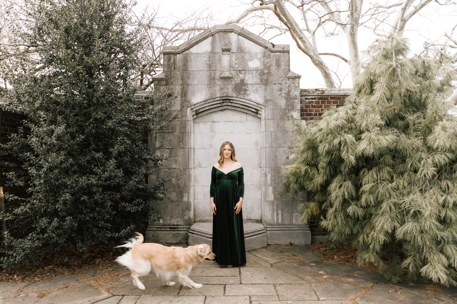 Maternity Session with Golden Retriever Dog